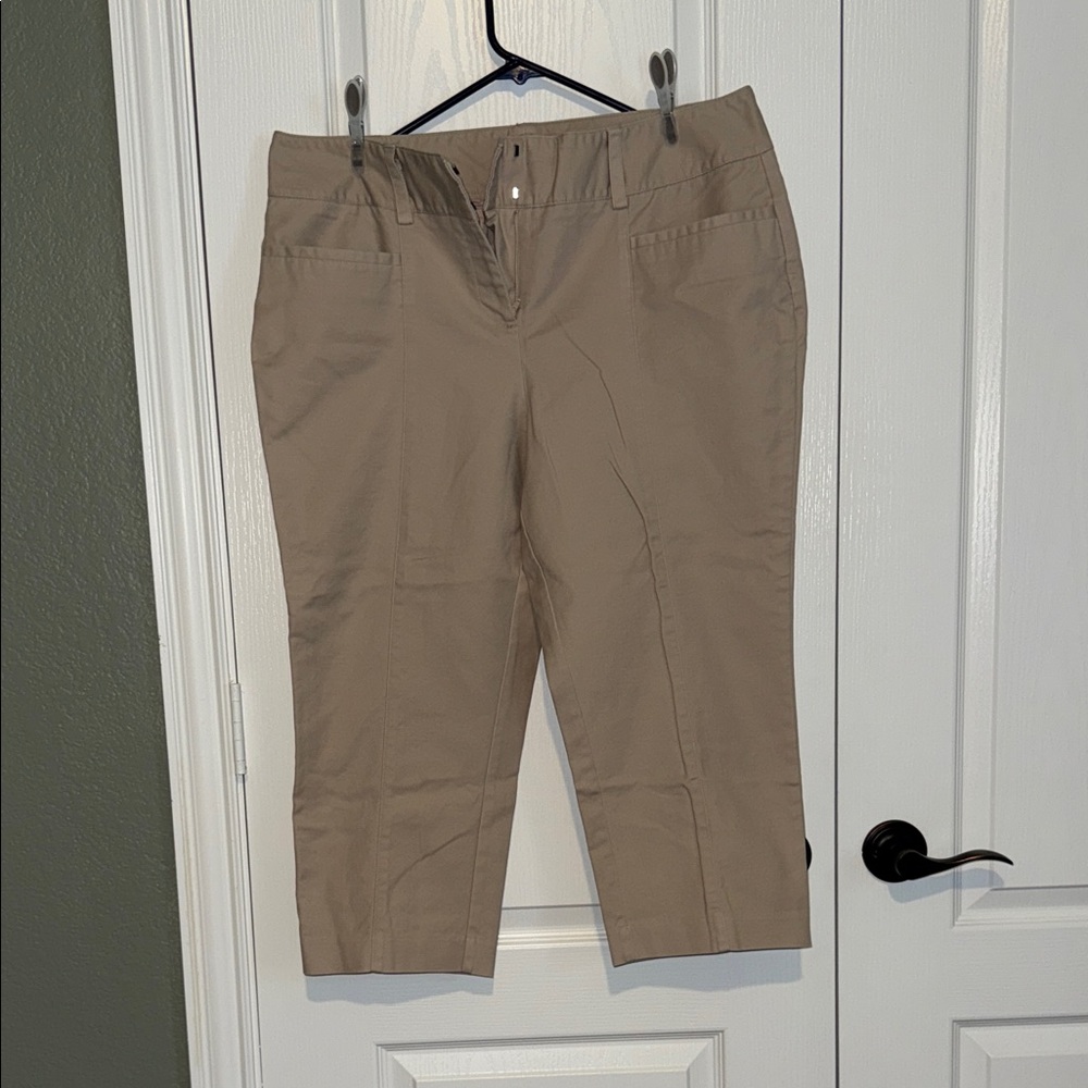 Dana Buchman Tan Capris